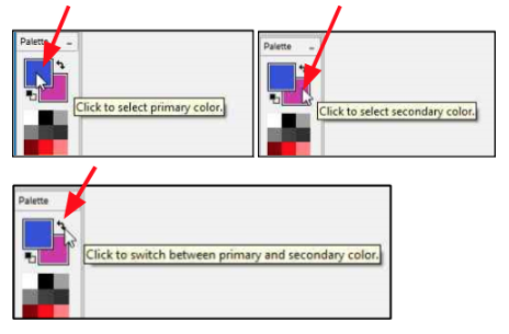 Select Primary or Secondary Color