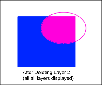 after layer delete image
