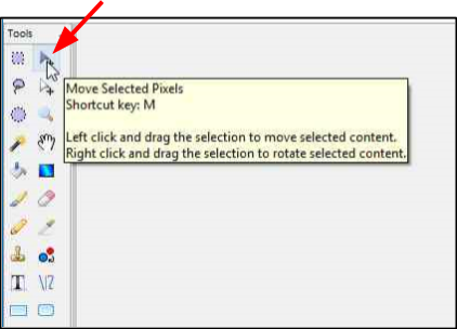 Select Move Selection Tool