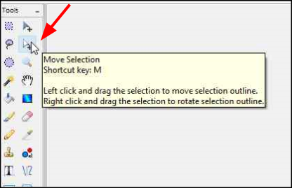 Select Move Selection Tool
